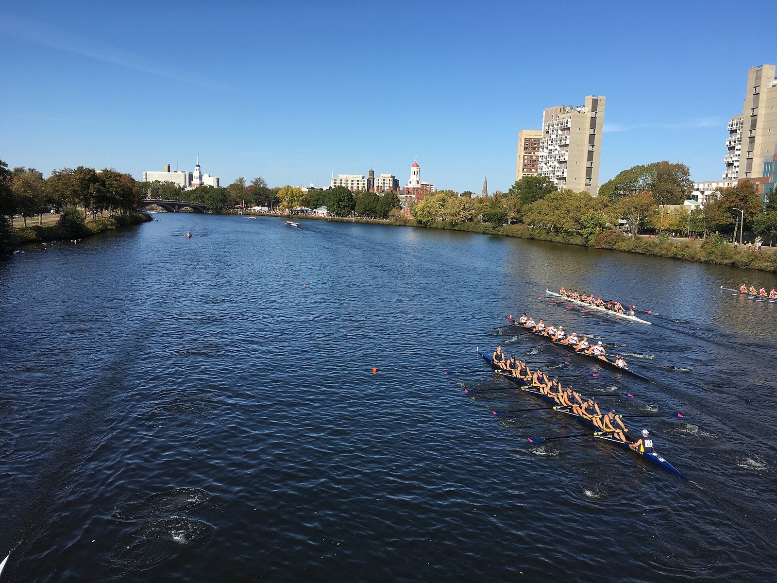 Rowing eights racing on the Charles River during the Head of the Charles Regatta